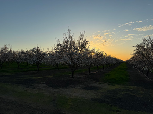 California Forever Eastern Solano Boundaries