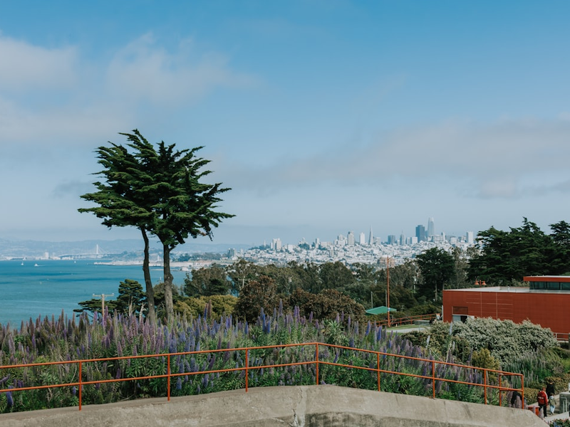 View of san francisco bay and skyline.