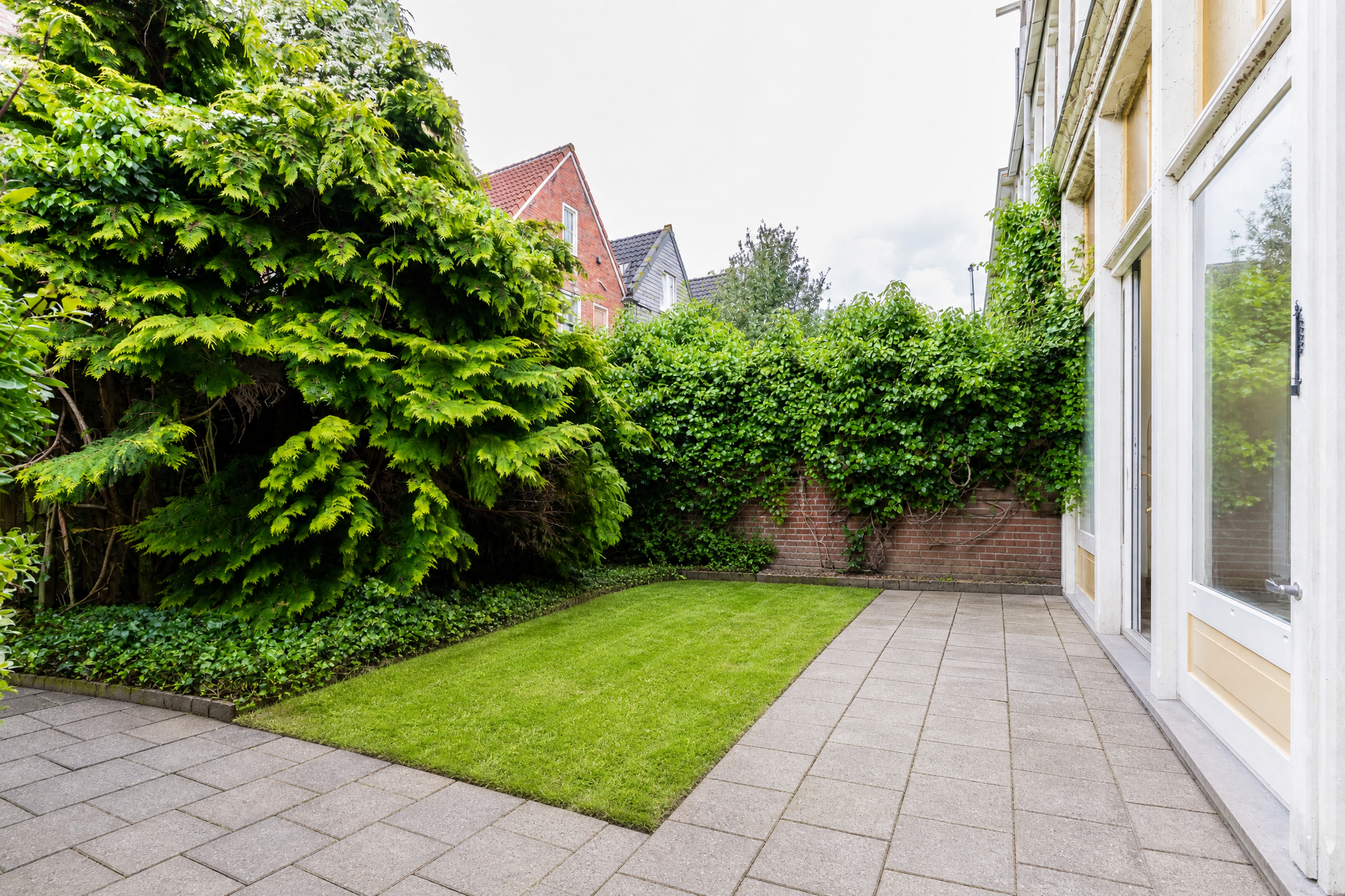 Tuin virtueel gesnoeid en opgeknapt
