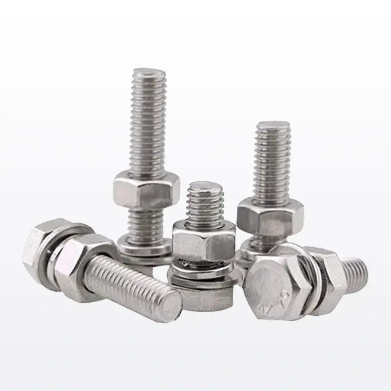 SS Fasteners