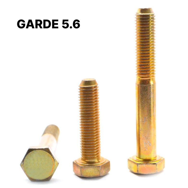 Golden Yellow Plated Nuts & Bolts