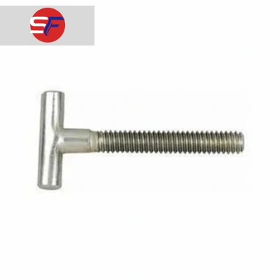 SS T Type Foundation Bolt