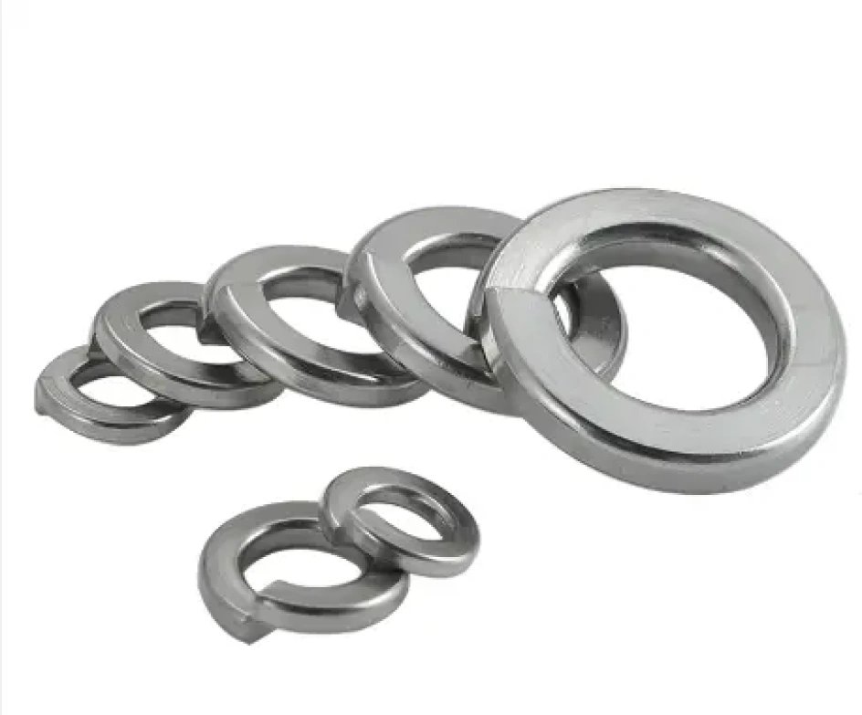 SS Spring Washer
