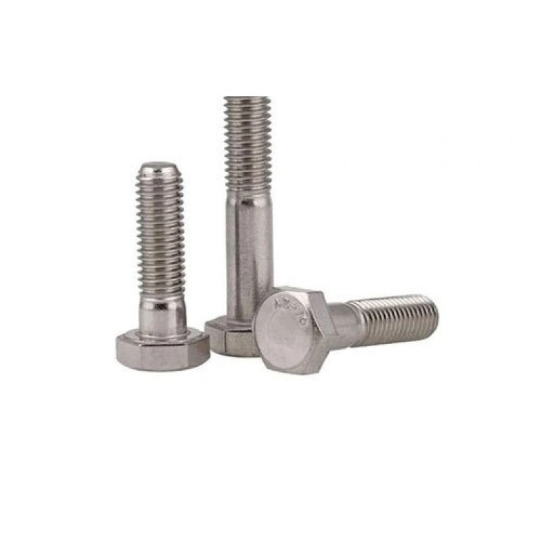 SS Bolts