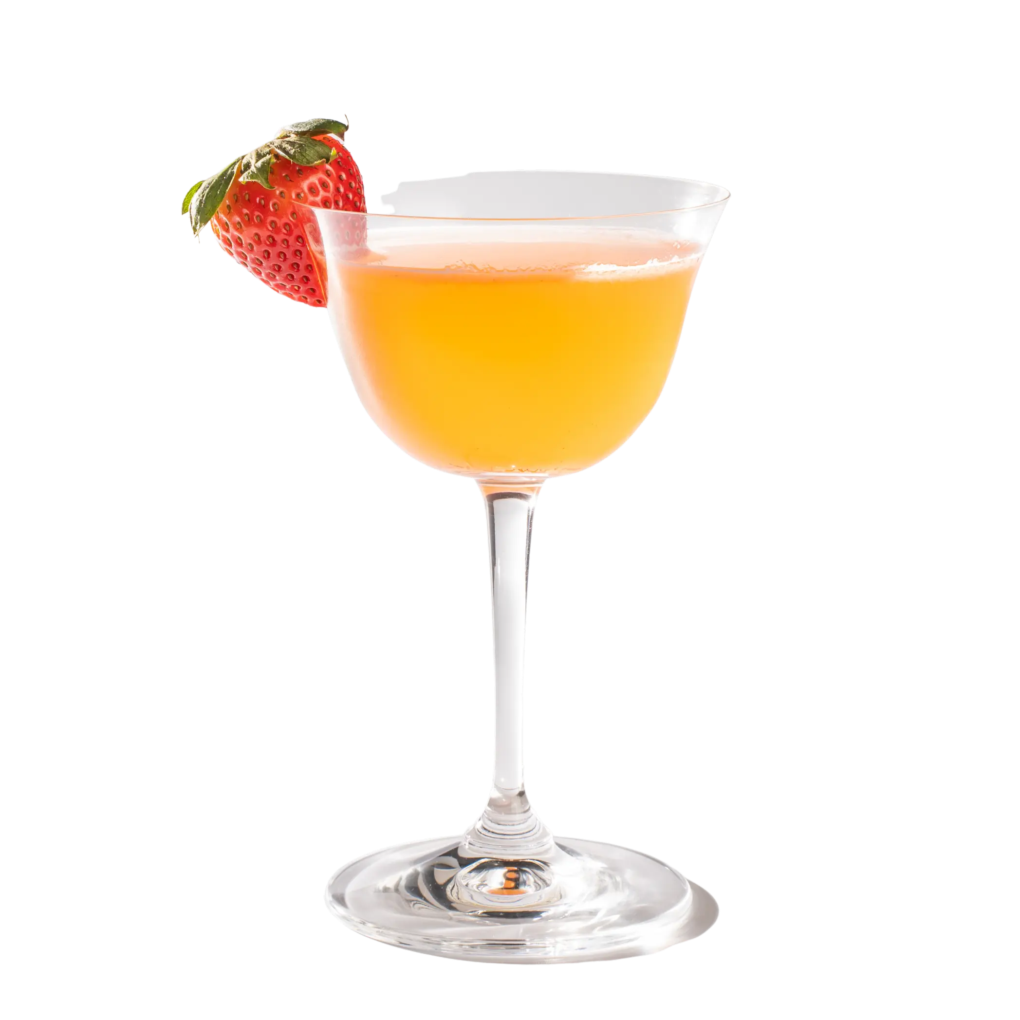 Mr Dolphin Strawberry Basil