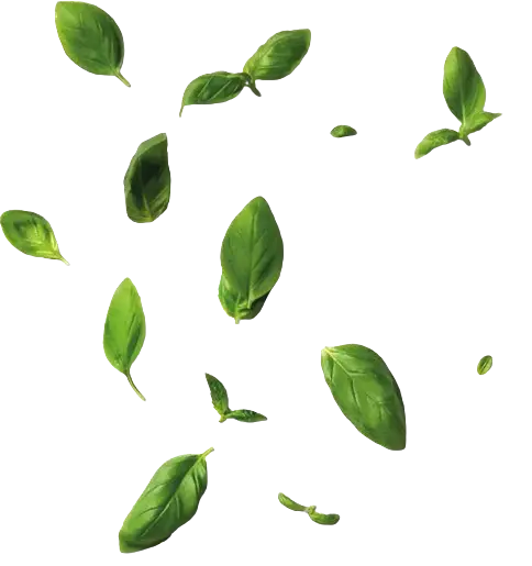 Image 15: leaves