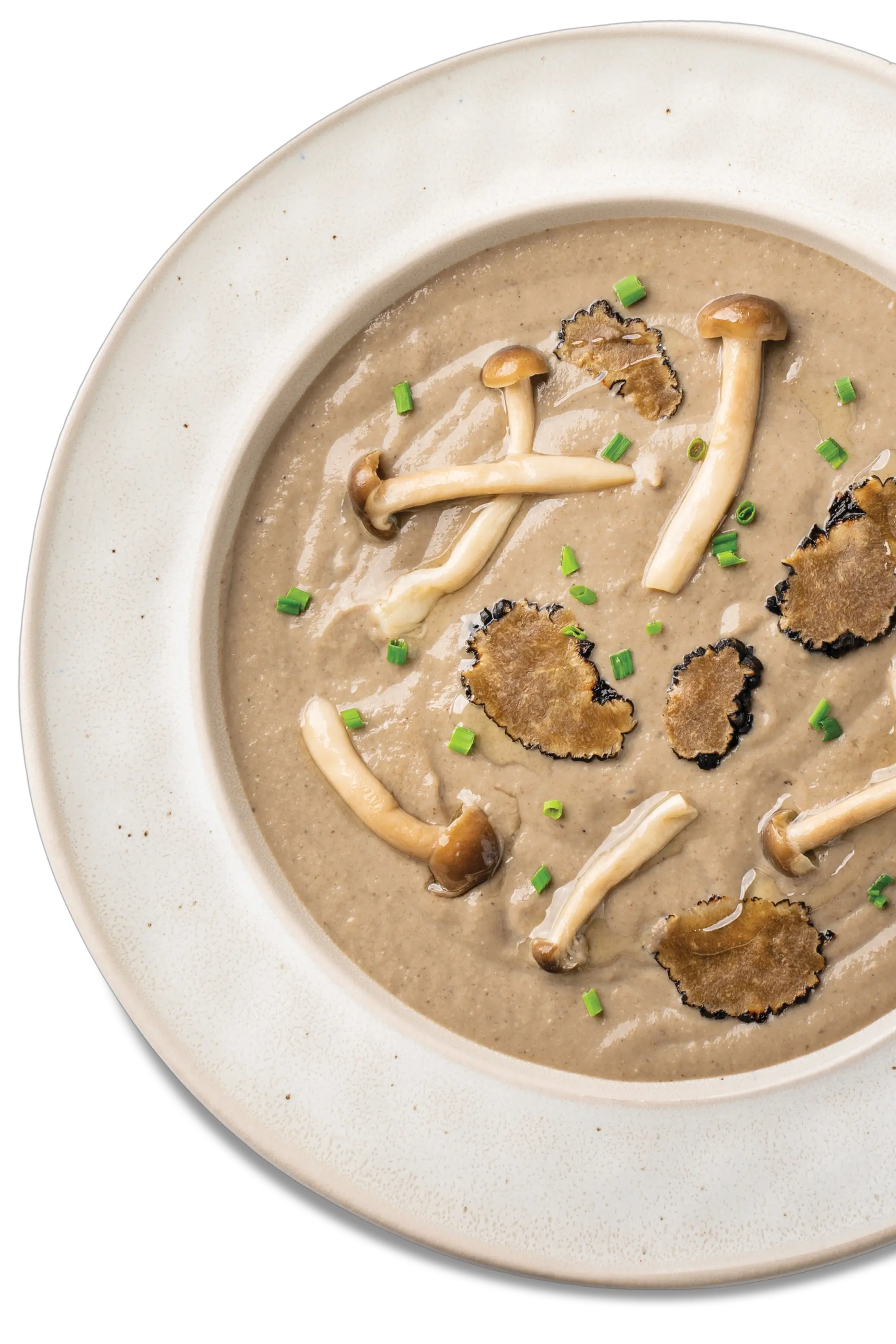 Truffle Mushroom Soup