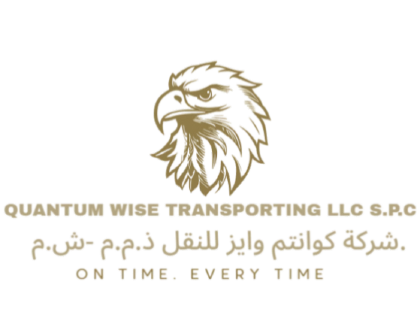Quantum Wise AE Logo