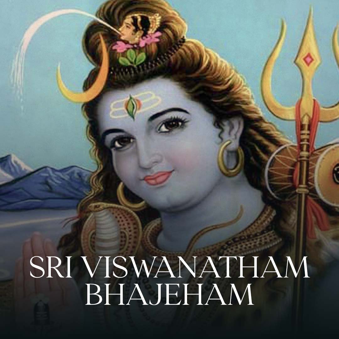Sri Viswanatham Bhajeham - Dikshitanubhavah Part 08