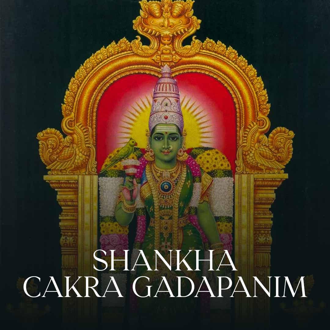 Shankha Cakra Gadapanim - Dikshitanubhavah Part 10