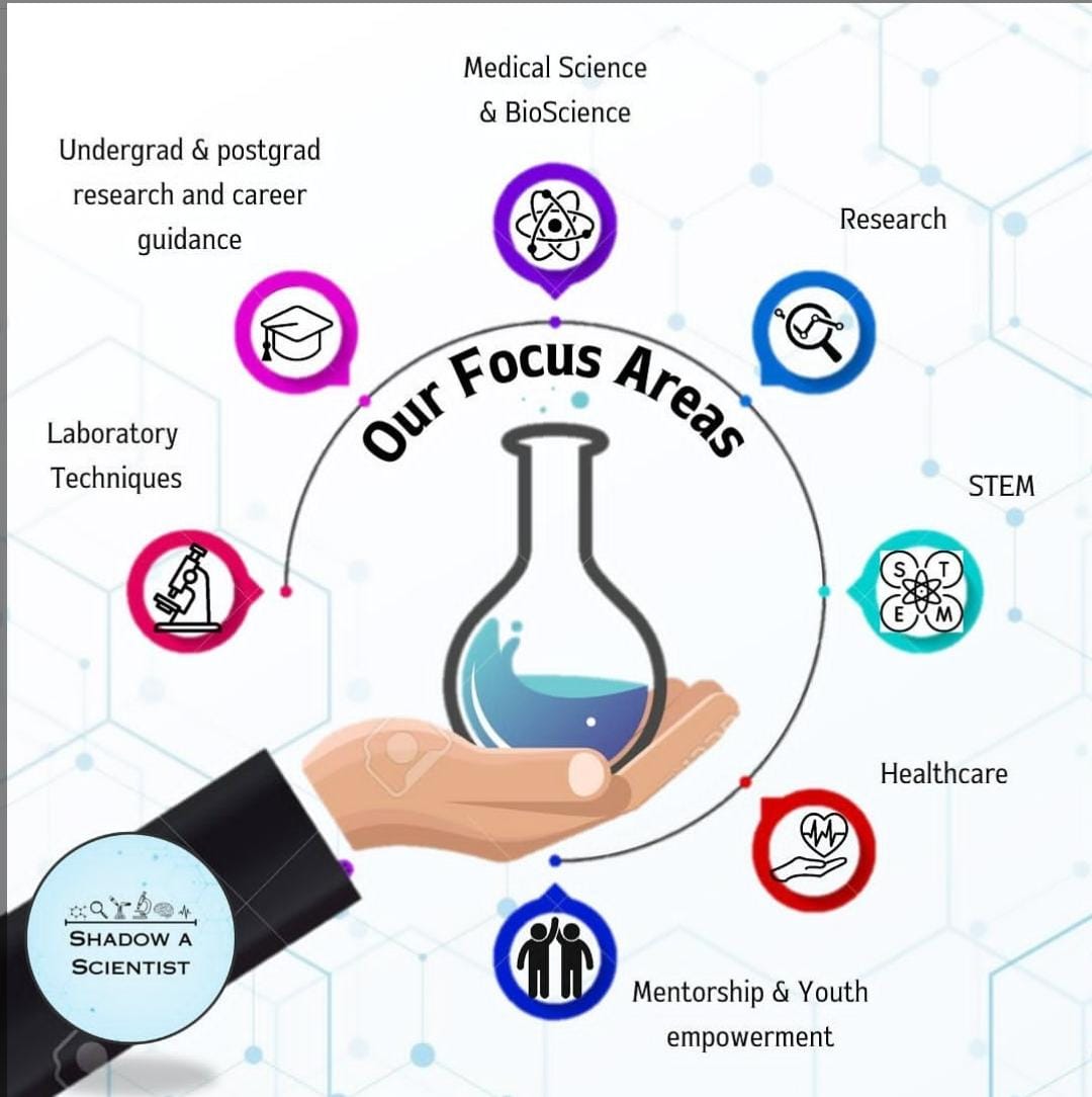 our focus areas