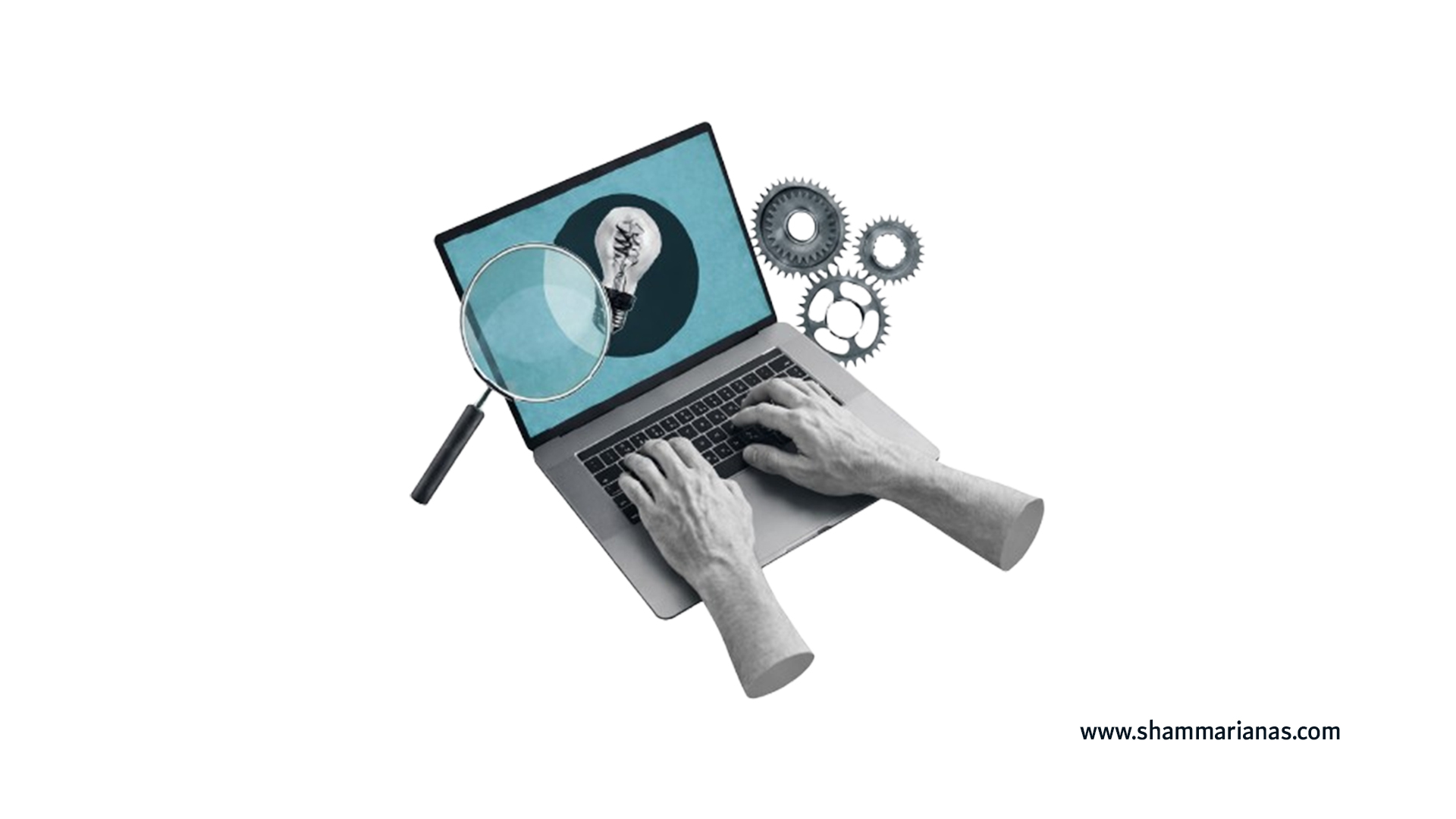 Evaluate The Company’s Previous Track Record And Level Of Expertise