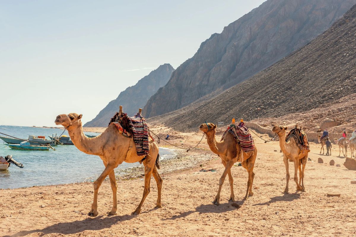Dahab Excursion from Sharm El Sheikh 2