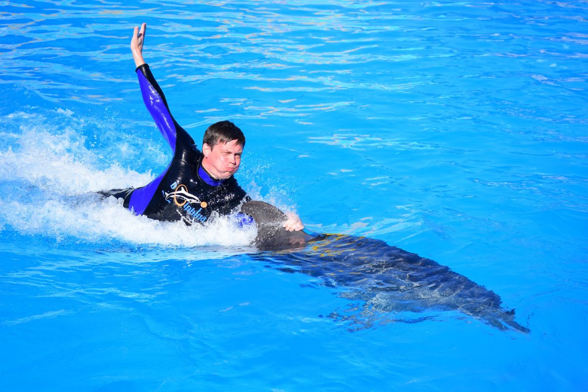 Dolphin Show and Park Adventure Sharm El Sheikh 2