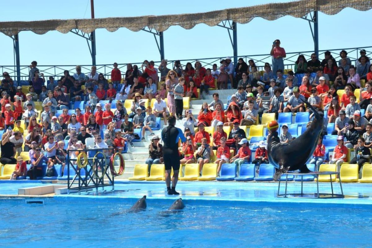 Dolphin Show and Park Adventure Sharm El Sheikh 5