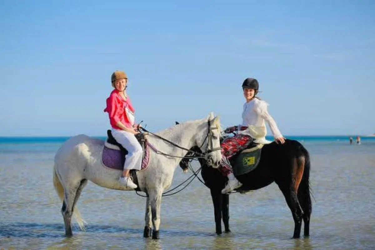 Horse Riding Adventure Sharm El Sheikh 2