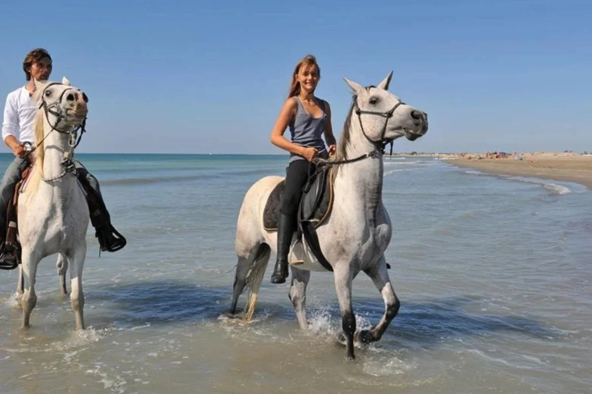 Horse Riding Adventure Sharm El Sheikh 5
