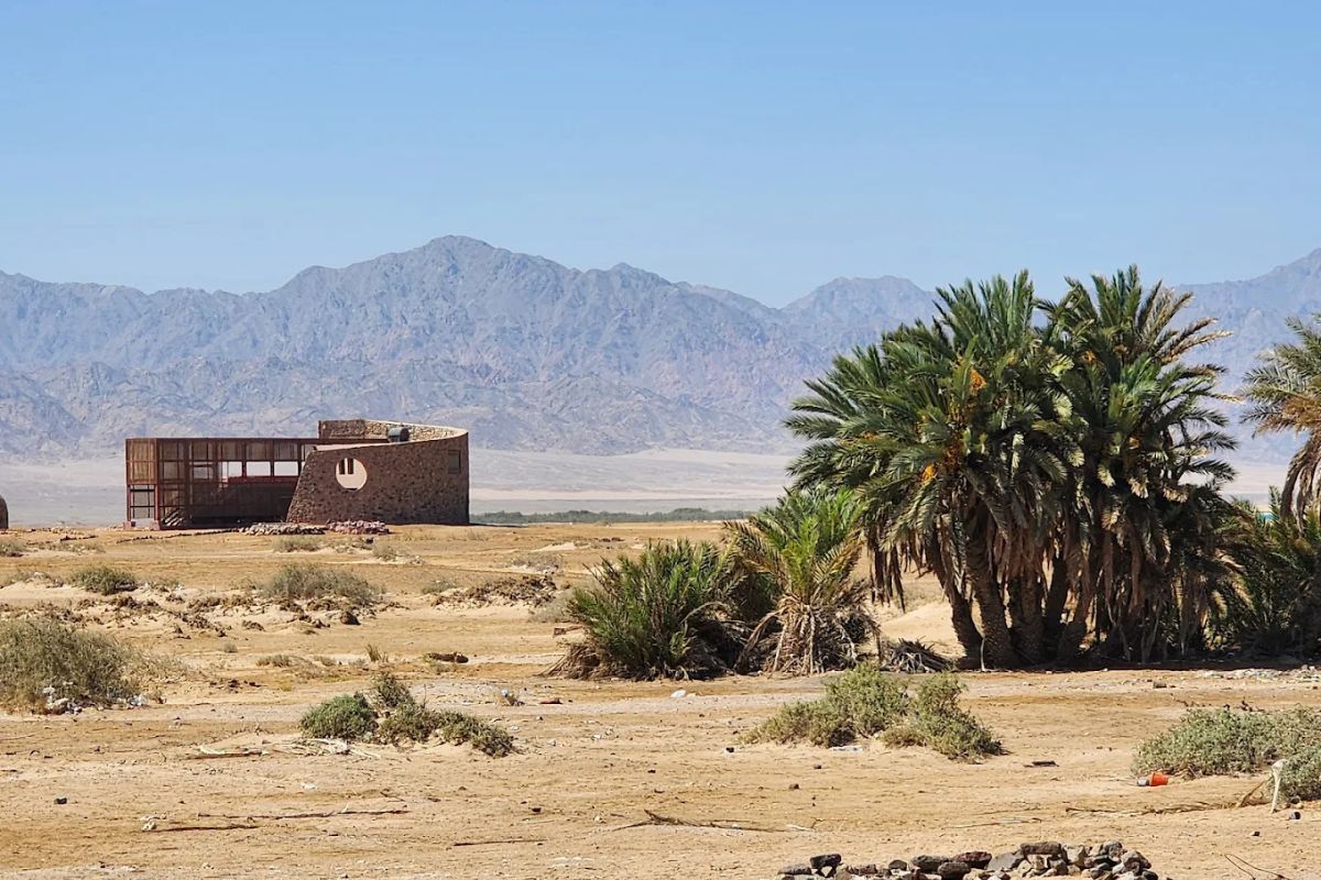 Nabq National Park