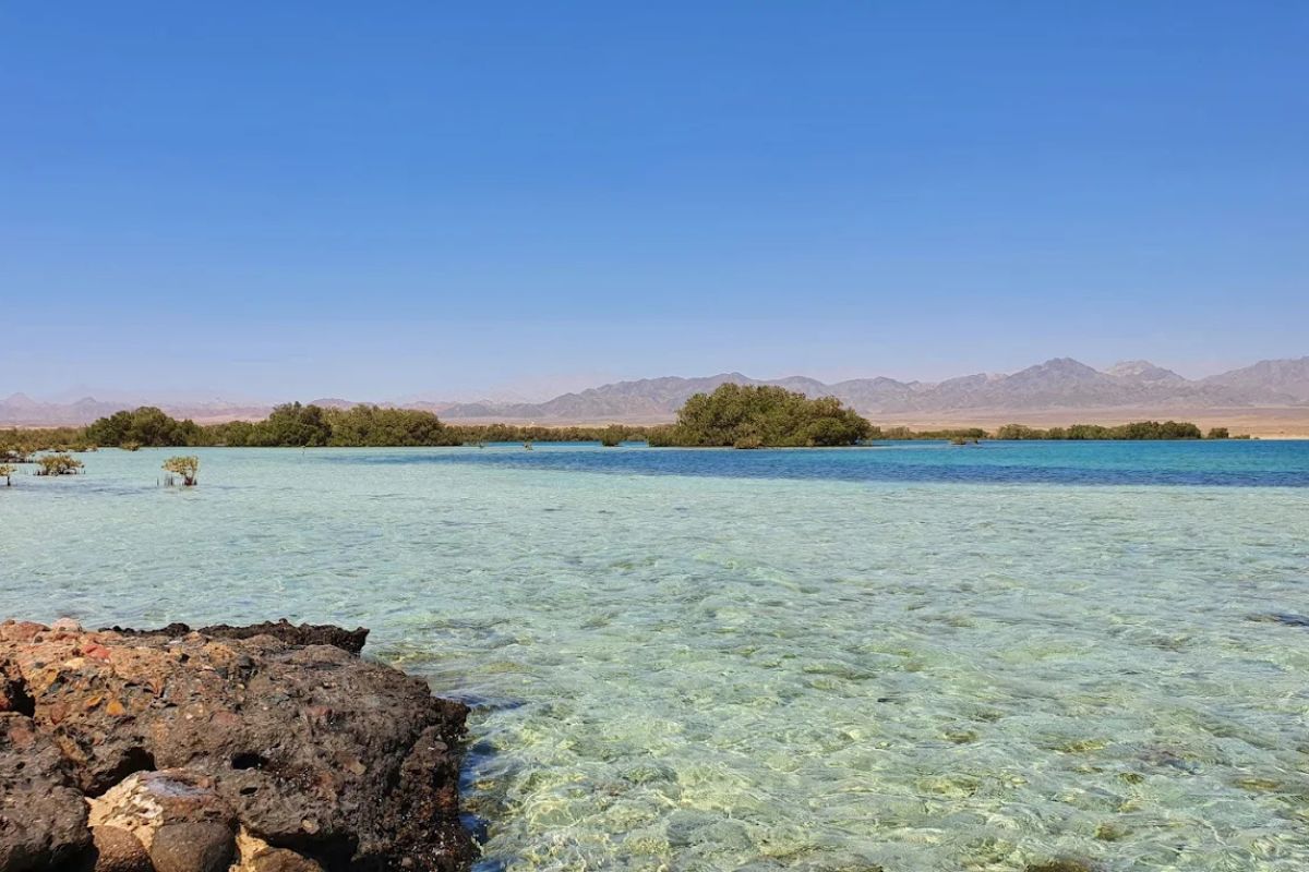 Nabq National Park 2