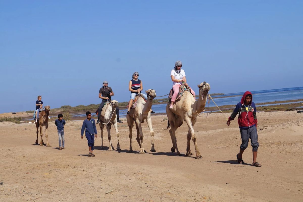 Nabq National Park 3