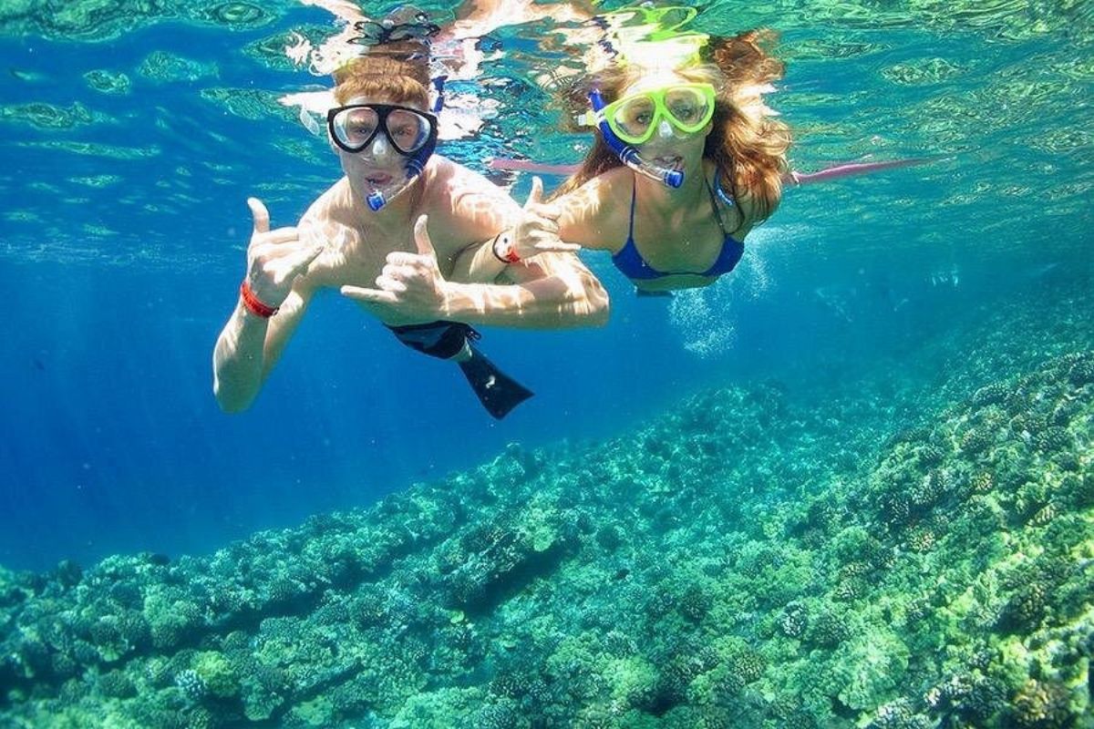 Ras Mohamed White Island Snorkeling Tour Sharm El Sheikh 5
