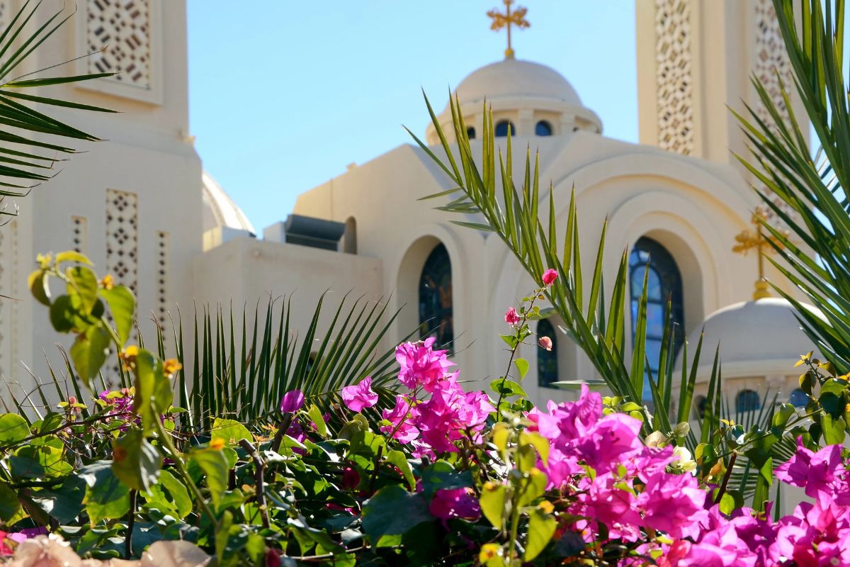 City Sightseeing Tour Sharm El Sheikh 3