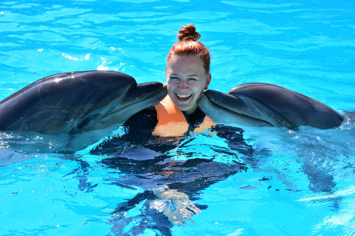 Swimming with Dolphins Adventure in Sharm El Sheikh