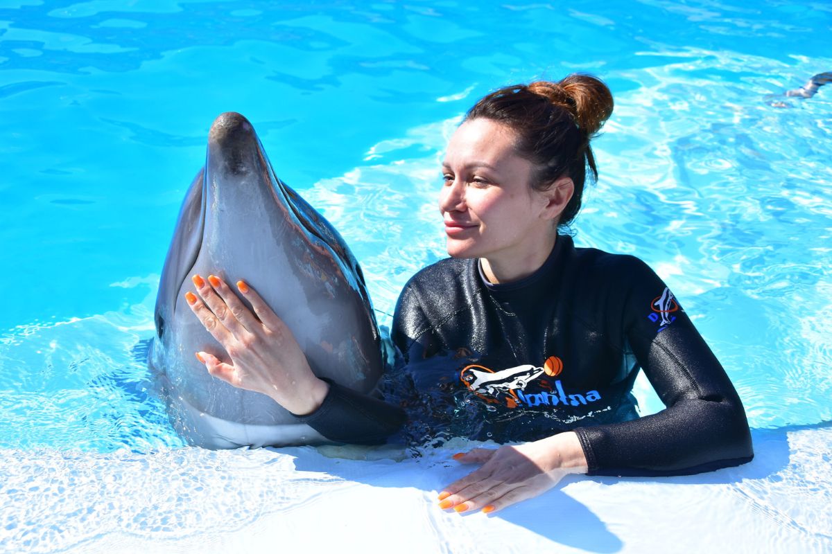 Swimming with Dolphins Adventure in Sharm El Sheikh 2