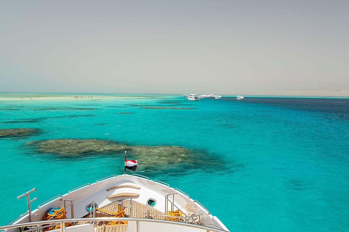 Ras Mohamed and White Island Diving Tour Sharm El Sheikh 2