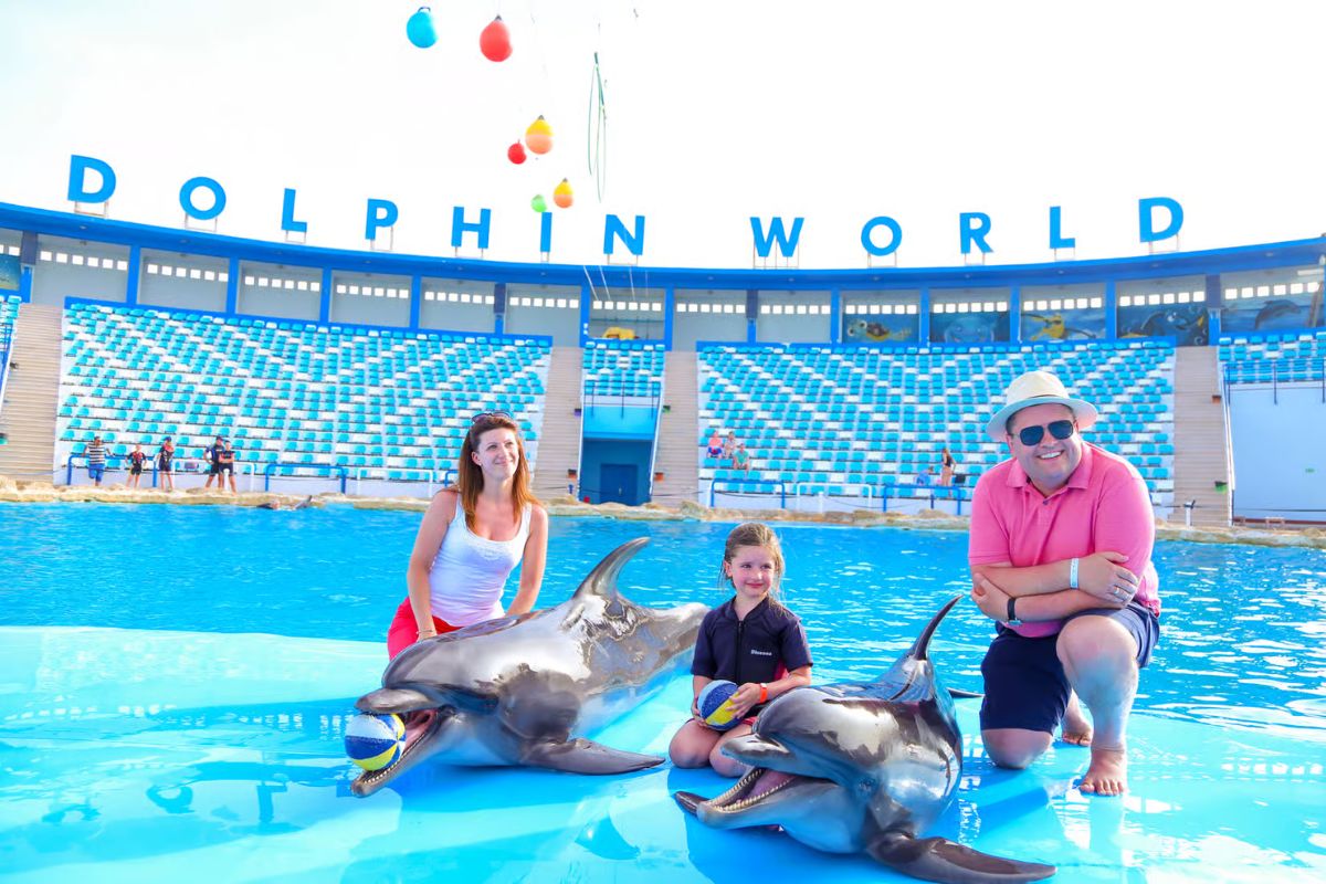 Dolphin World Show with Walrus Hurghada