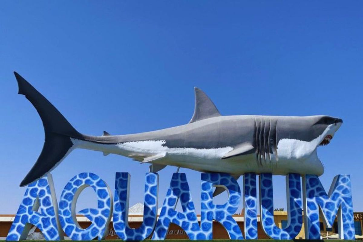 Grand Aquarium Entry Ticket Hurghada 4