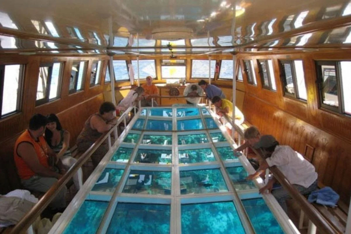 Private Glass Bottom Boat Sharm El Sheikh 5