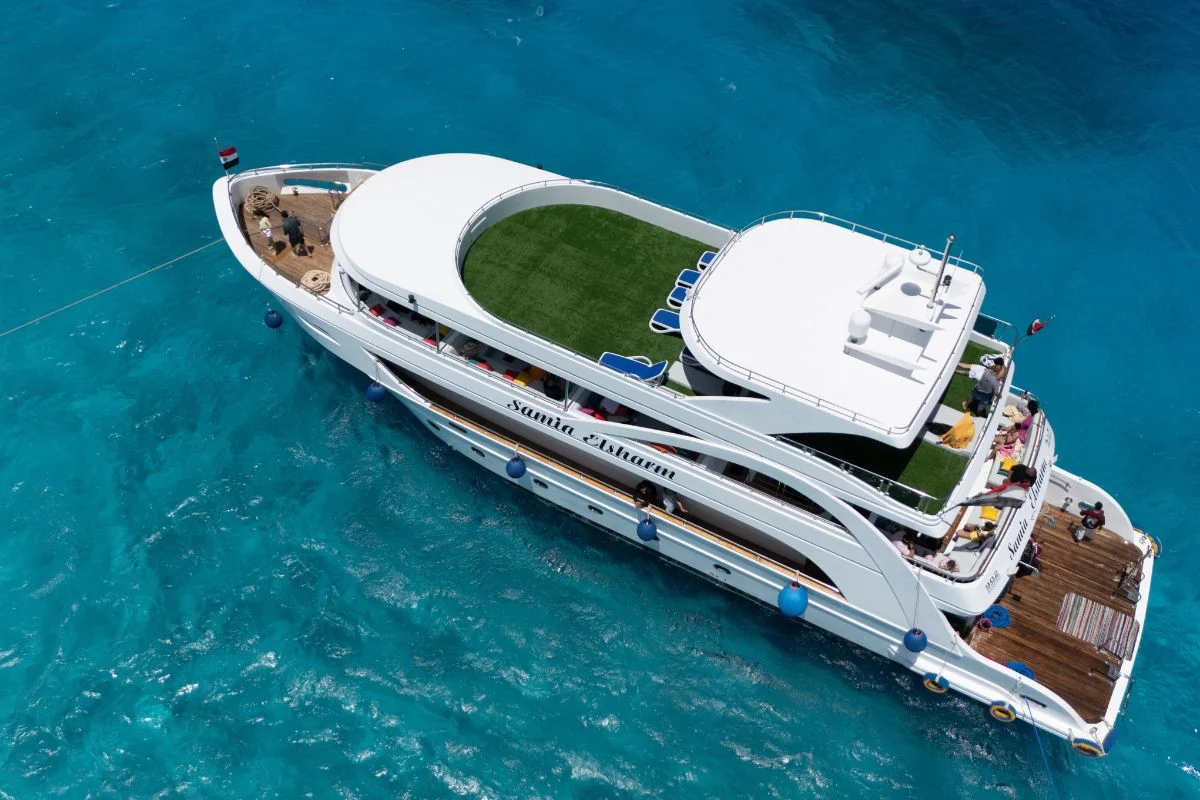 Ras Mohammed & White Island Premium Boat Trip Sharm El Sheikh 2