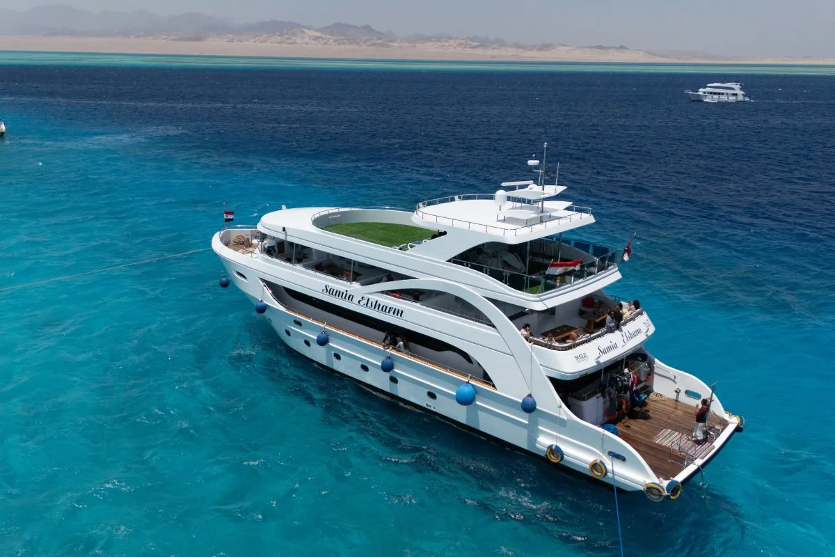 Ras Mohammed & White Island Premium Boat Trip Sharm El Sheikh 4