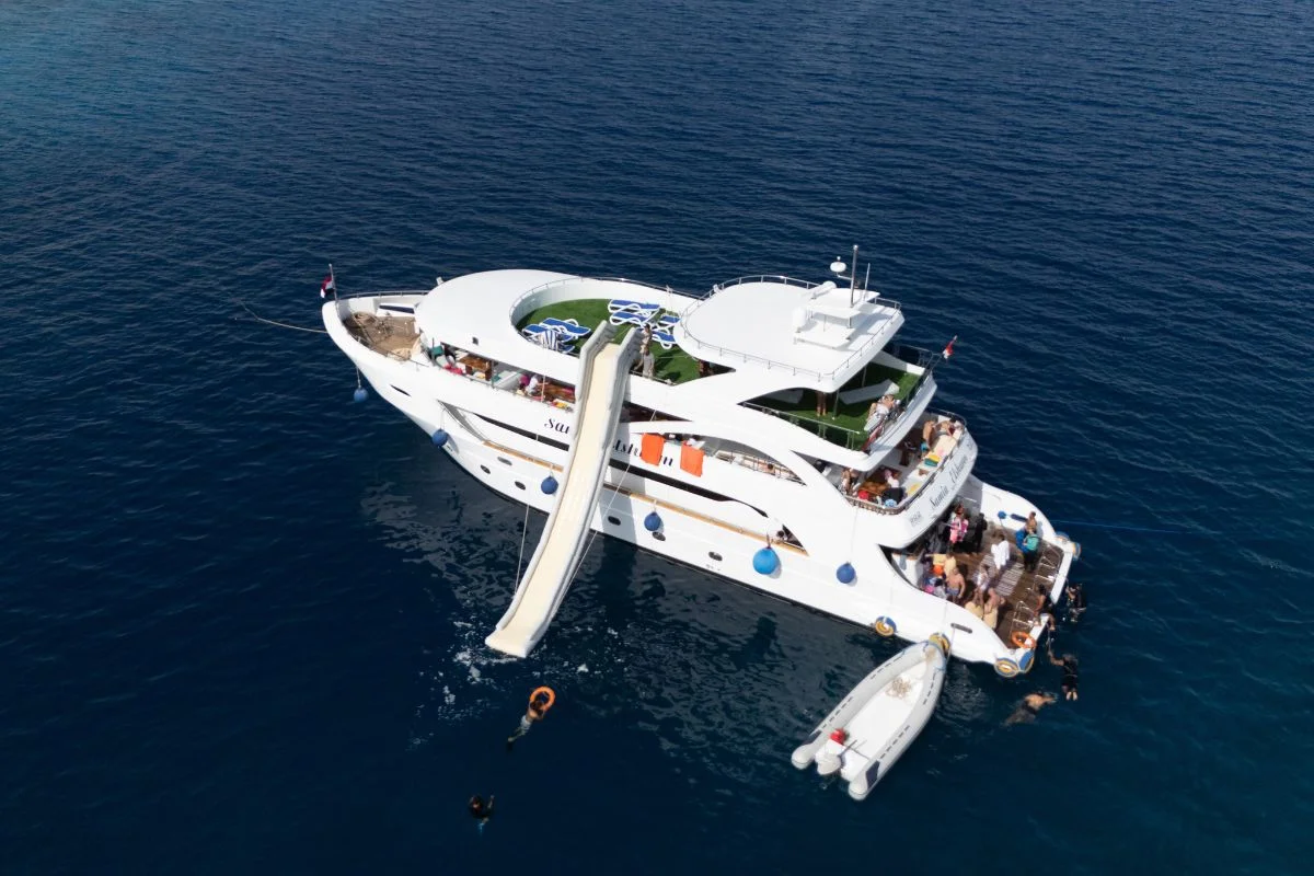 Ras Mohammed & White Island Premium Boat Trip Sharm El Sheikh 3