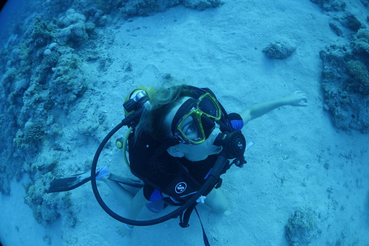 Tiran Island Diving and Snorkeling Tour Sharm El Sheikh