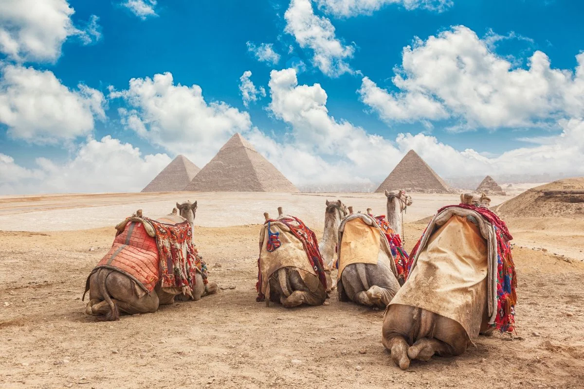 Charm el-Cheikh Tours des Pyramides