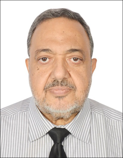 Ahmed Shehata, Principal of Shehata Consulting