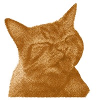 Indies.cl – over 500 members!