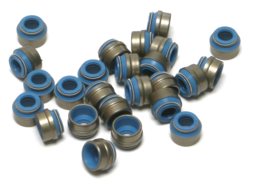 Pkg Valve Seal Tc Evo Xl 84-02 1P