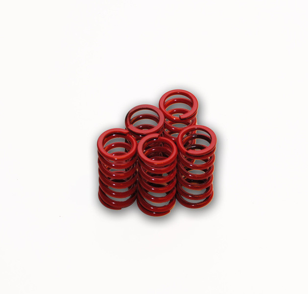 CLUTCH SPRING SET EXTR V-ROD 02-07