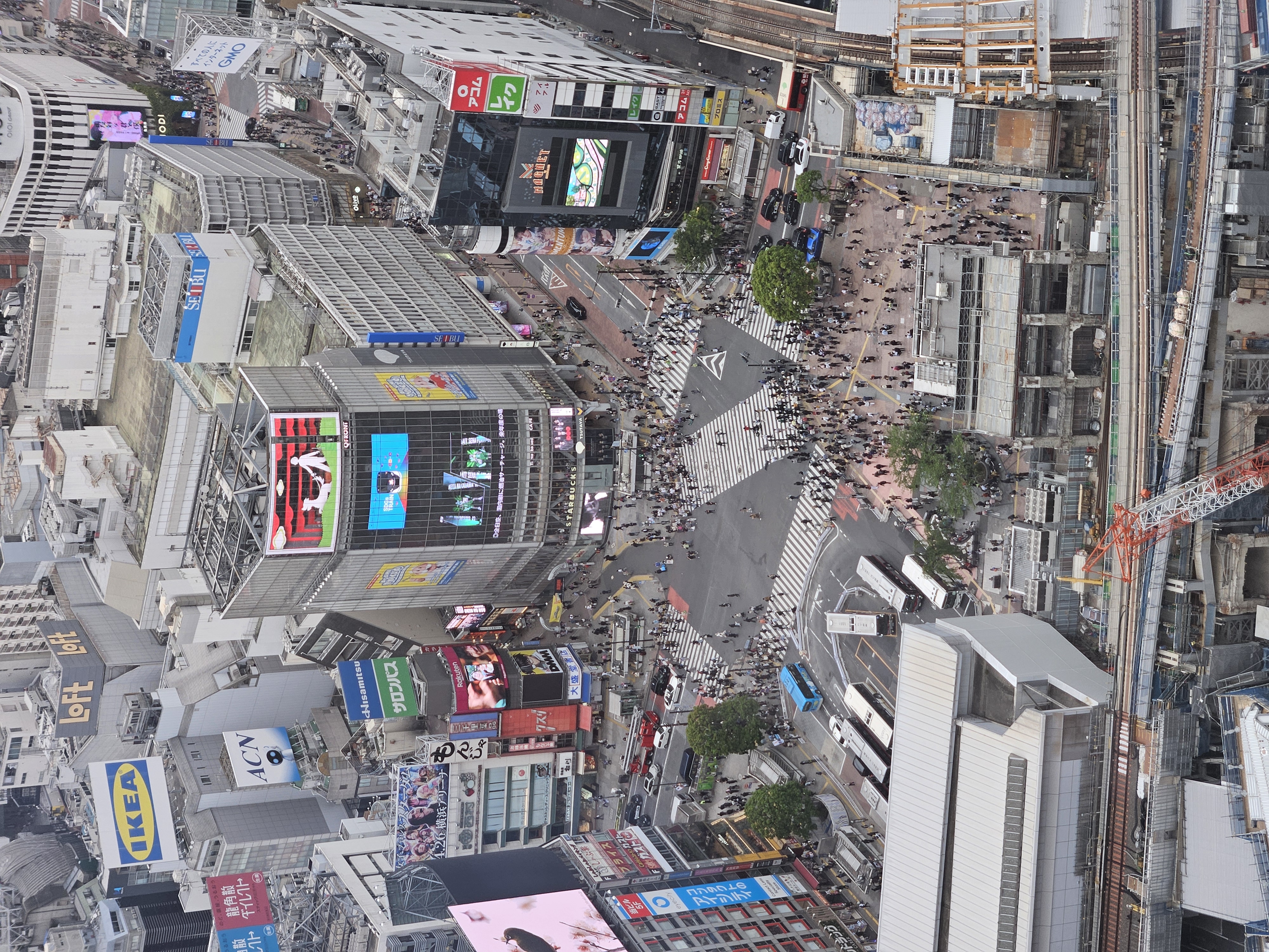 渋谷まち歩きに参加しました