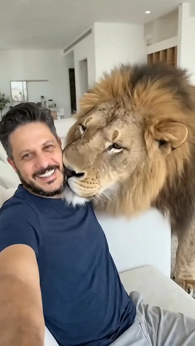 التصوير مع الأسد