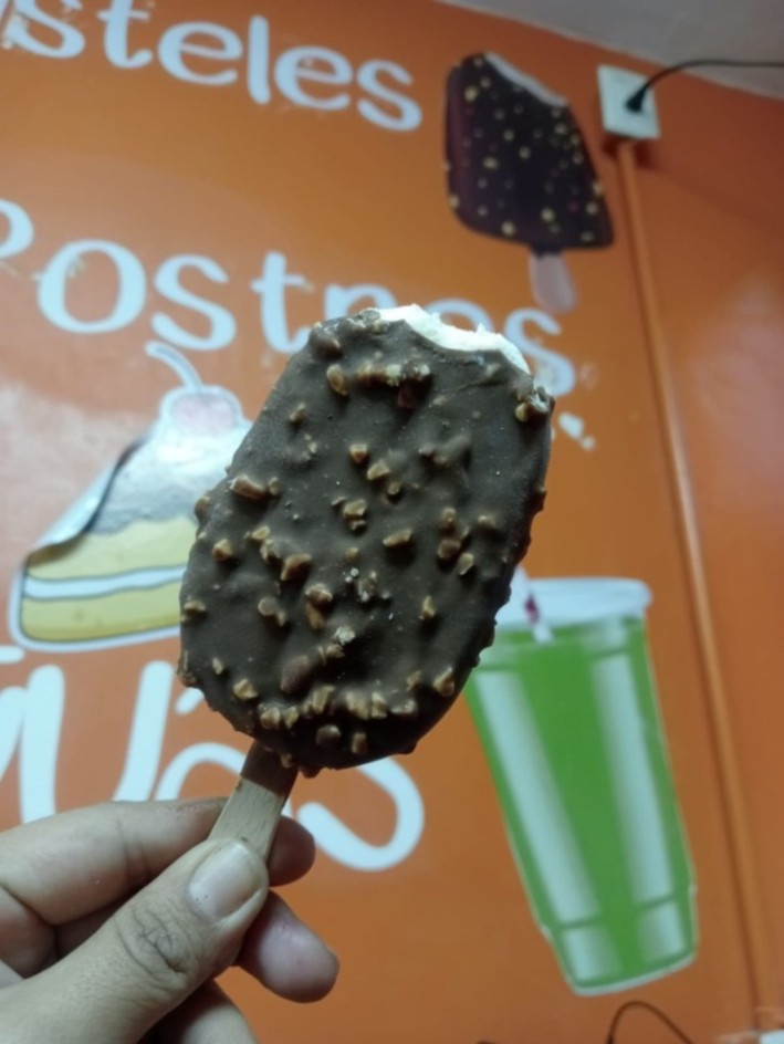 Paleta tipo magnum