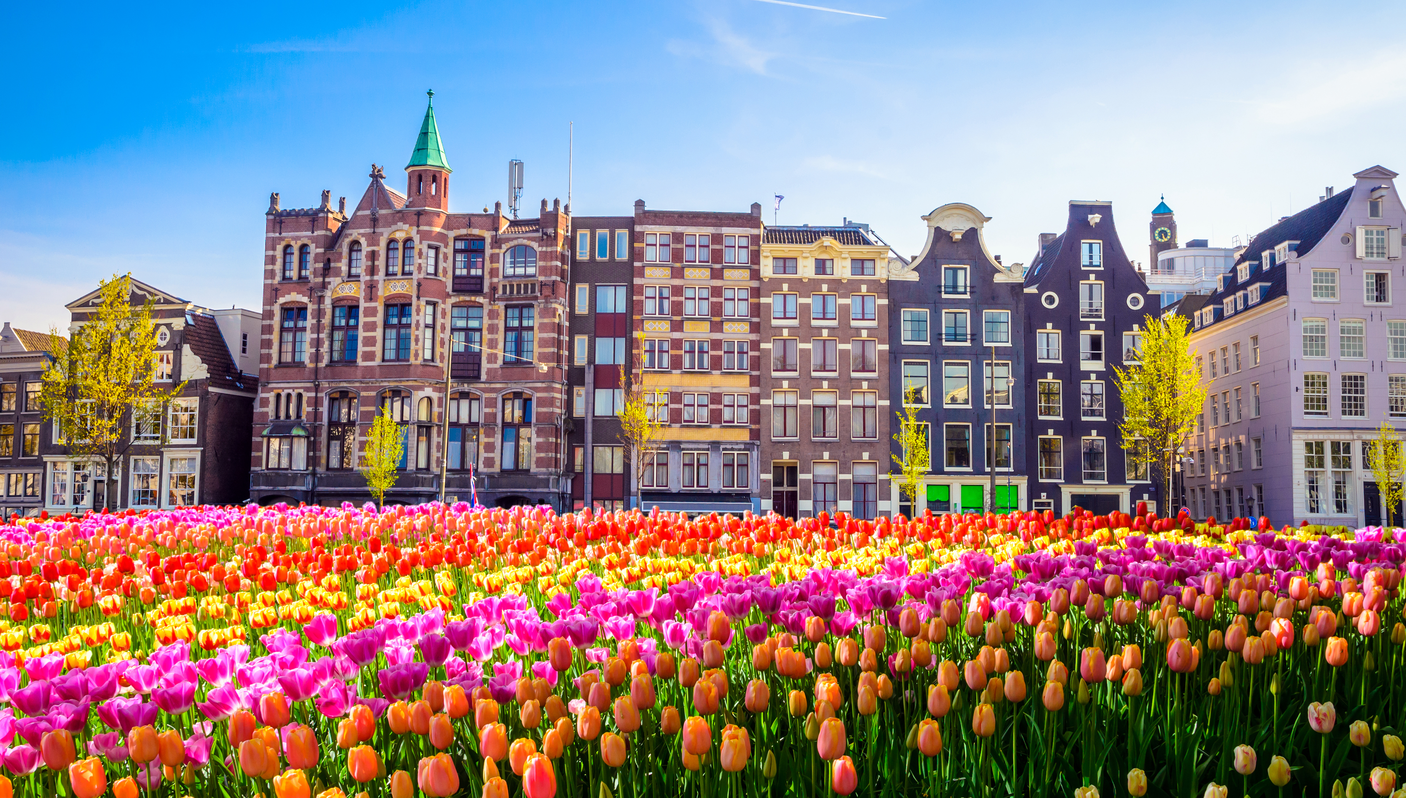 The capital of the Netherlands is the city of 1200 bridges. It has beautiful canals and is home to the royal palace in its old town. Running in Amsterdam also means visiting its red light district and admiring its flowery shops.