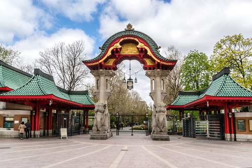 The Mitte district occupies a large proportion of the centre of Berlin. Over the course of this route, you will discover the zoo, the Kaiser Wilhelm Memorial Church and the Photography Museum.  