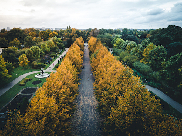 After a tour of the famous Regent's Park, climb up to Primrose Hill and take in the breathtaking views. Warning: please check the park opening times before heading out.