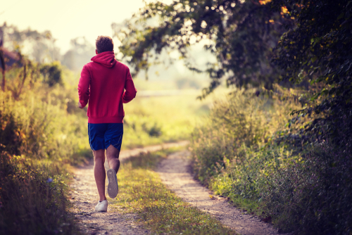 On your marks, get set, go! Test your endurance in Amsterdam's woods!