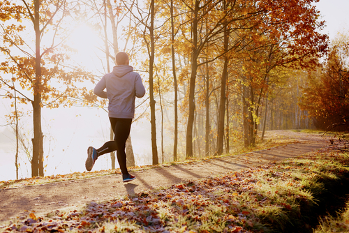 Get going on this 8K run across the famous Vondelpark, all the while running along the river!