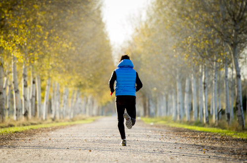 Let us guide you on a calm run through the heart of the magnificent Augarten. This route is ideal for beginners!